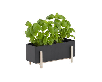 Botanic-Box-Ash-Black