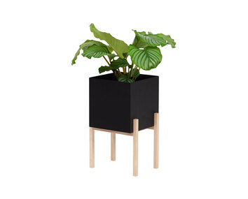 Botanic-Pedestal-Ash-Black